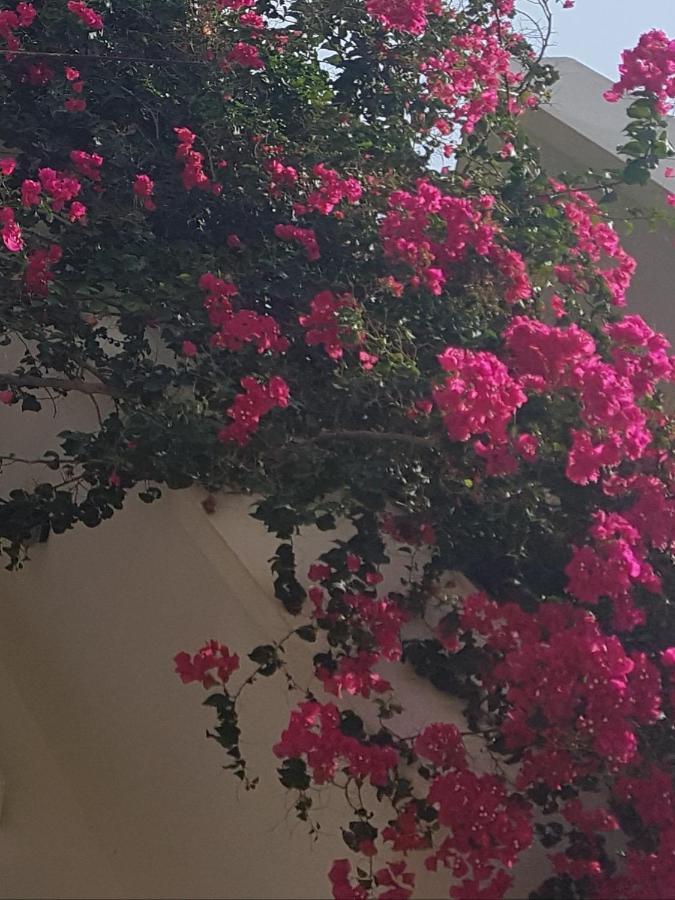 Noble Inn Loutraki  Exterior photo